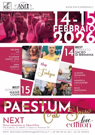 PAESTUM CAT SHOW LOVE EDITION