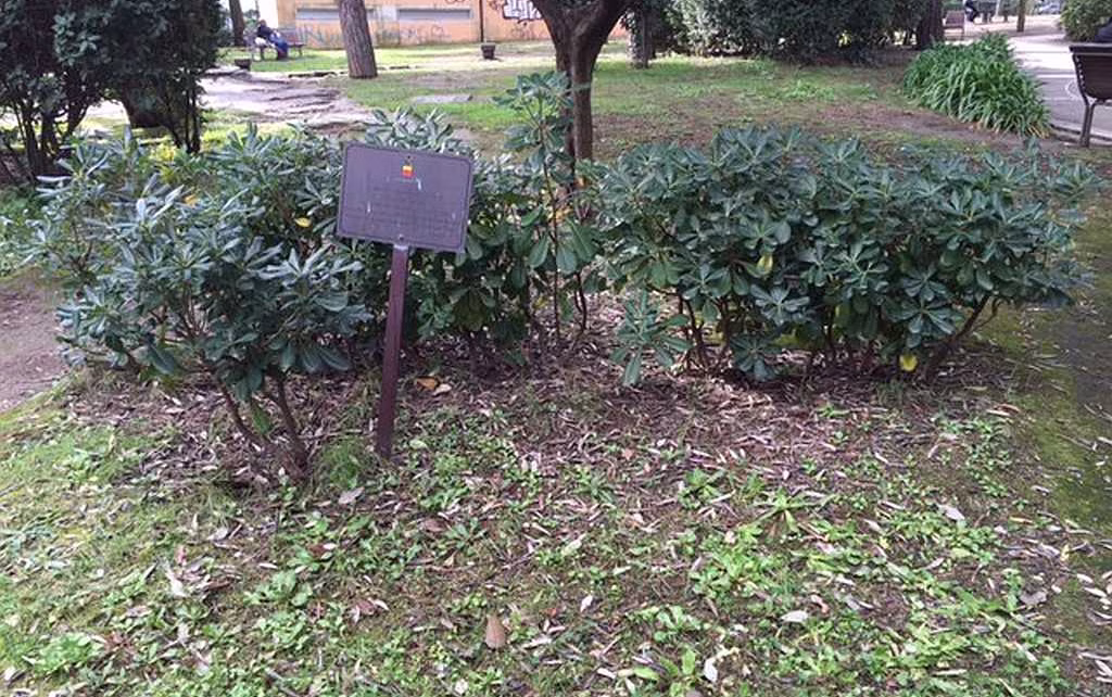 Parco Mascagna la targa scomparsa