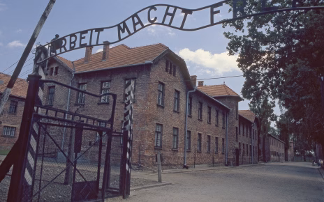 Plansza 2 Auschwitz Birkenau miniatura 1