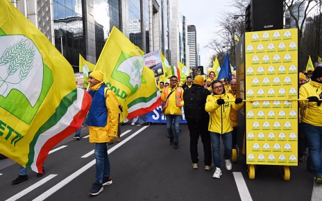 Made in Italy, Coldiretti: "Nel 2025 invasi i mercati da mezzo miliardo di chili di olio straniero. Servono più controlli e regole chiare" 3 coldirettiprotesta