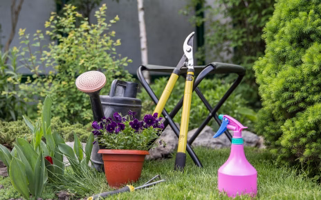 Idee e consigli per ridare vita agli spazi verdi dopo l’inverno 3 gardening 6803876 1280
