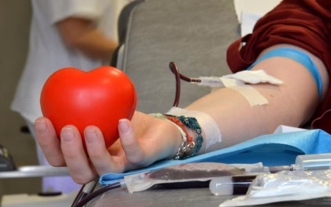 Cardarelli e Mostra d'Oltremare insieme per la donazione sangue: domenica mattina per Nautic Sud, autoemoteca Avis e stand informativo 4 2 croce rossa donare sangue
