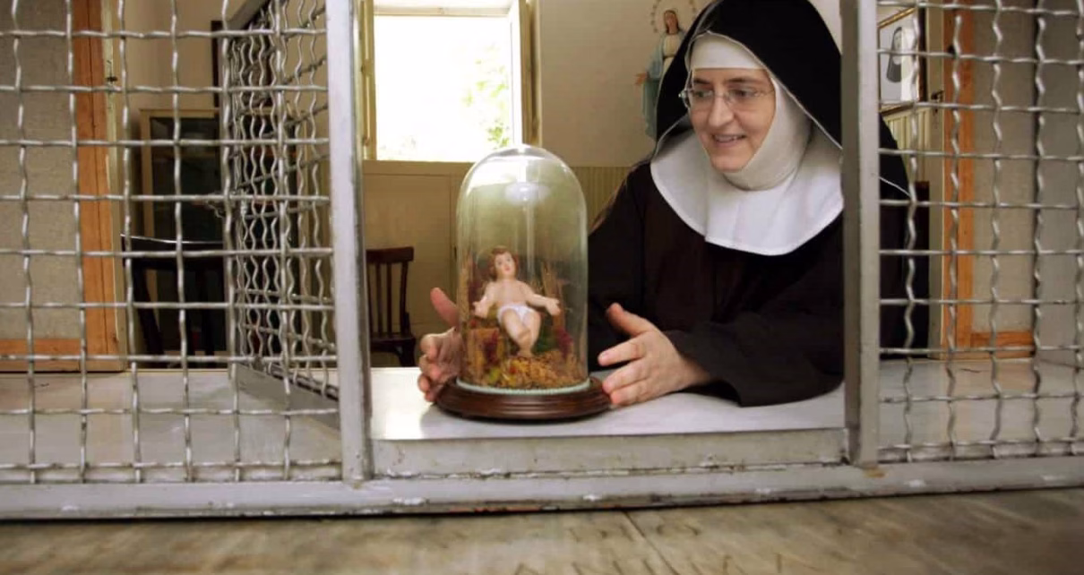 madre rosa lupolimod