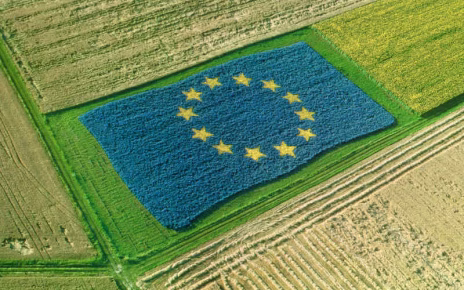 Ue, Confeuro: "Preoccupa Corte Conti su Pac: Von der Leyen faccia passo indietro" 4 politica agricolacomune pac