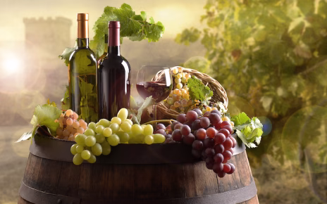 vino bottiglie vigneto vite uva filiera by pfpgroup adobe stock 750x499 1