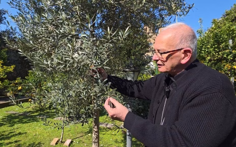 Domenica delle Palme 2026, il commento di Mons. Angelo Spinillo 5 Aversa Palme 2026 Commento Spinillomod