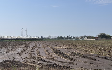 Reflui bufalini nella Piana del Sele, Paestum Energia Futura: "Fermare gli scarichi abusivi nei canali. Servono impianti moderni, non solo sequestri" 3 IMG 2590