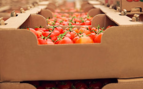 Comark TES, agroalimentare e vino guidano l’export siciliano 5 sciscianonotizie.it