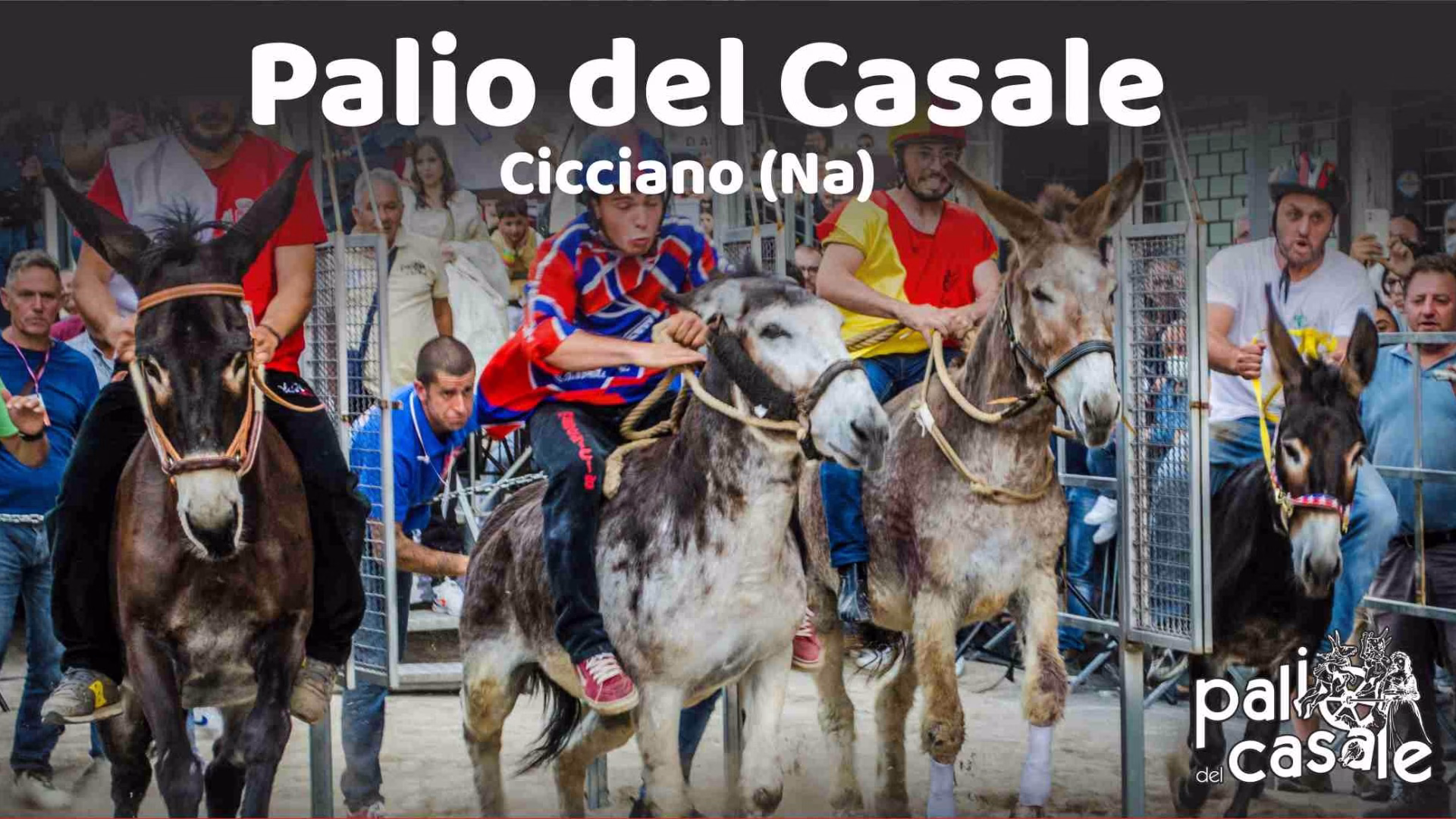 palio del casale cicciano 2024