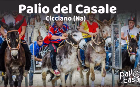 palio del casale cicciano 2024