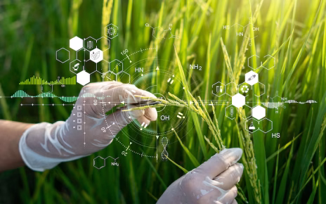 Agricoltura, Confeuro: "Bene Ue su Ngt: con Tea si punta a sicurezza alimentare" 3 tea e ogm