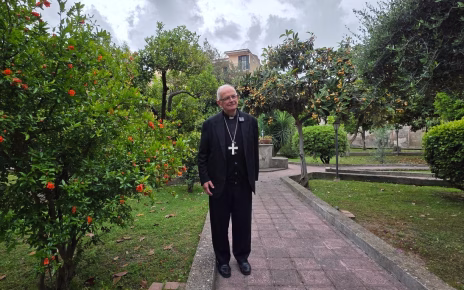 Ascensione del Signore 2026, il commento di Mons. Angelo Spinillo 4 Aversa Ascensione 2026 commento Spinillomod