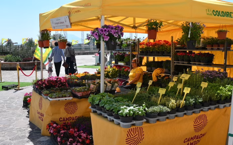 Villaggio del Made in Italy a Napoli: due giorni di sapori e tradizione 4 DSC 3869