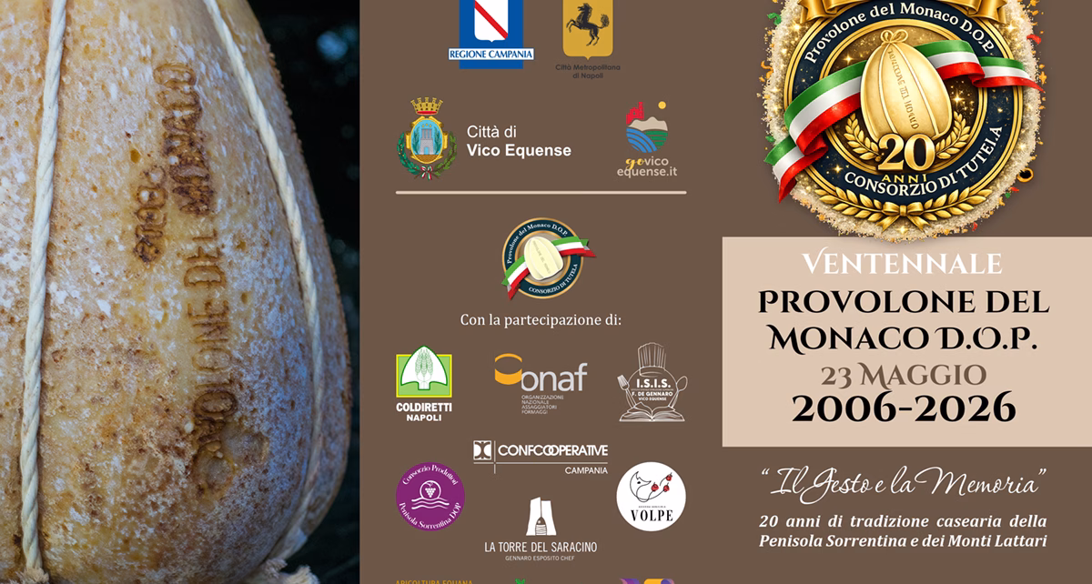 Depliant Tri fold 10x21 Ventennale Consorzio00.jpg