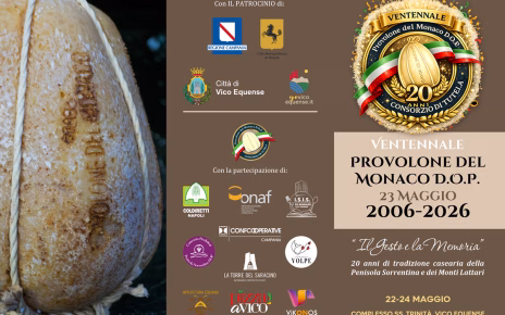 Depliant Tri fold 10x21 Ventennale Consorzio00.jpg