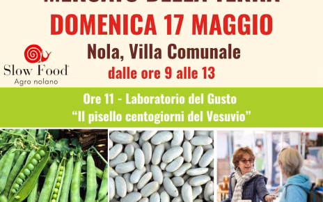 Locandina Mercato della Terra Nola 17maggio2026 1