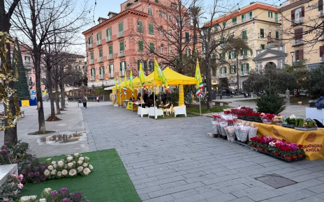 La Città di Castellammare a sostegno di Coldiretti per tutelare il Made in Italy 5 Mercato Coldiretti a Castellammare 1