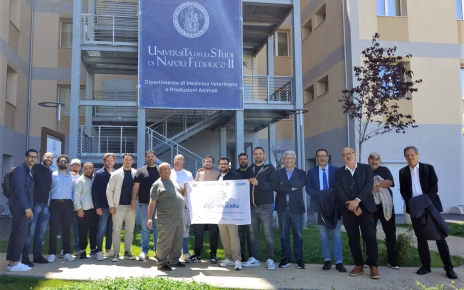 Napoli, MollusCA Blu": alla Federico II i risultati del progetto per la tutela del cannolicchio e della biodiversità marina 6 Mollusca