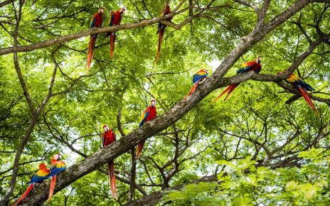 Giornata Biodiversità, Confeuro: "Agricoltore vero custode dell'ambiente e della terra" 8 iStock 1304071815