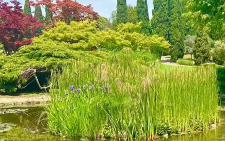 Parco Sigurtà: arte e natura in un giardino fiabesco 5 1a1619c7 3d47 4ddc 8451 d78789ae3a27