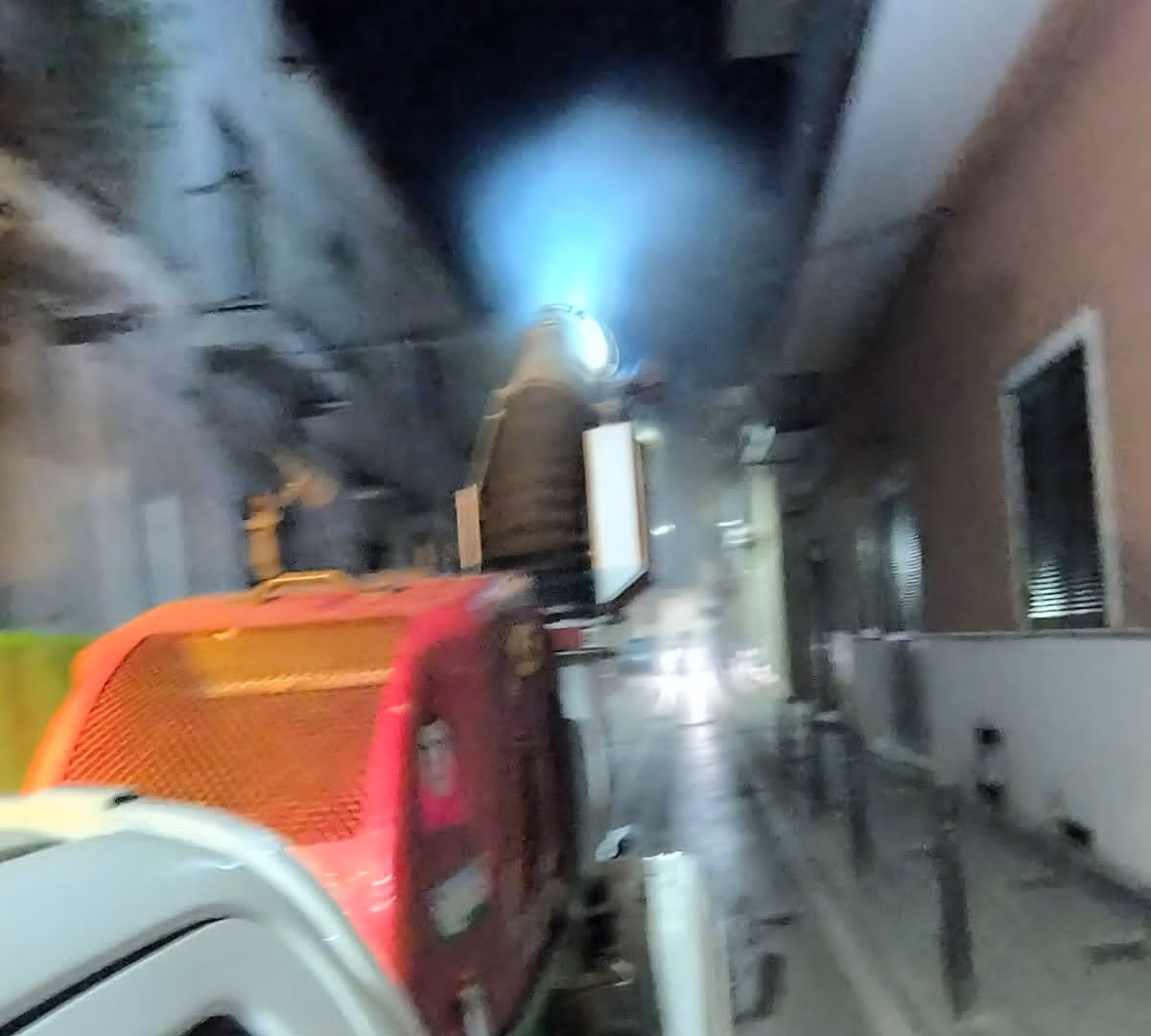 disinfestazione1