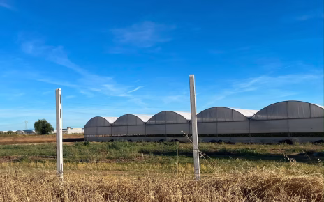 Campania, agricoltura tra criticità e rilancio: ecco il report CONFEURO 5 reportconfeuro1