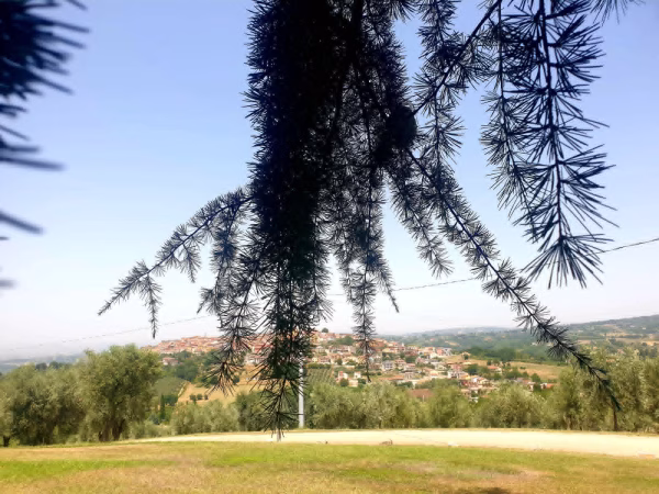 I Viaggi di Adelina - L’anima viola dell’Irpinia: un viaggio tra lavanda, memoria e rinascita a Sant’Angelo all’Esca 11 0a29af98 c609 4792 8436 f8e9f5bb82d3 1