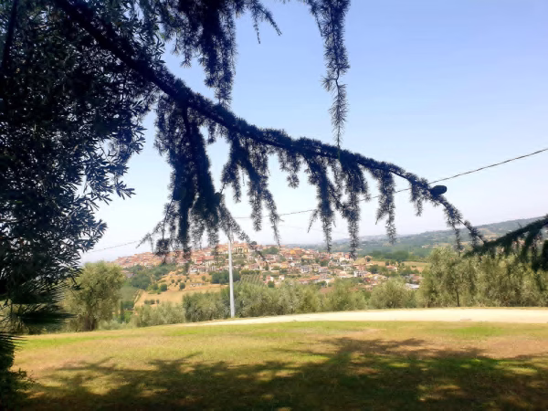 I Viaggi di Adelina - L’anima viola dell’Irpinia: un viaggio tra lavanda, memoria e rinascita a Sant’Angelo all’Esca 9 0fc19d95 87d1 47ae 9cb5 d55a2527e672