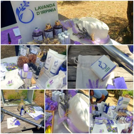 I Viaggi di Adelina - L’anima viola dell’Irpinia: un viaggio tra lavanda, memoria e rinascita a Sant’Angelo all’Esca 13 1b2fcb13 d407 4216 9702 b3d3436f54bc