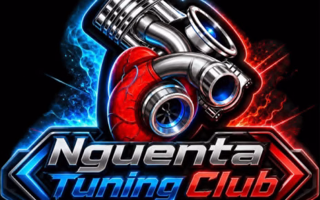 Motori, Record e Passione: straordinario successo per il Raduno del Nguenta Tuning Club 4 3c362e17 bb17 4fc4 9273 4a1fe819d62d