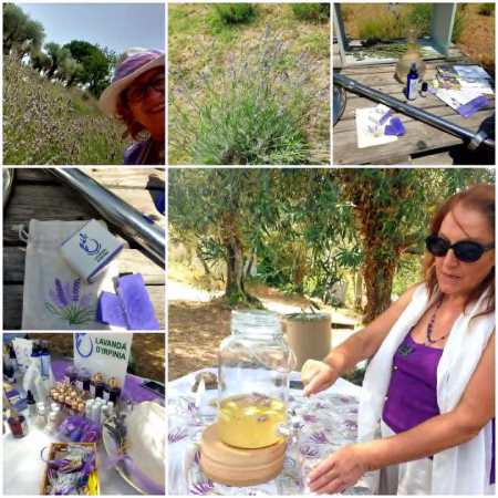 I Viaggi di Adelina - L’anima viola dell’Irpinia: un viaggio tra lavanda, memoria e rinascita a Sant’Angelo all’Esca 14 86da987a 73a3 479d a97c 717e4ad2002a