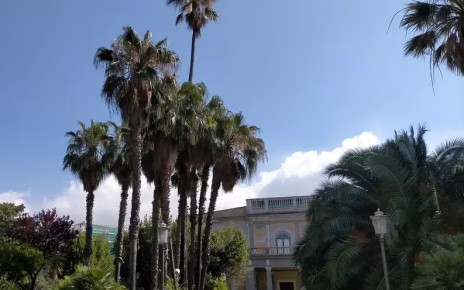 Portici, il Circolo "Filippo Corridoni" richiama l'attenzione sulle priorità ambientali della città 5 Alberi