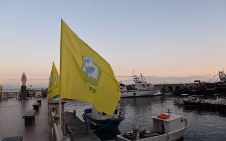 Campania, Coldiretti Pesca: "Mare bollente, SOS per la mitilicoltura e acquacoltura" 5 Coldiretti Pesca