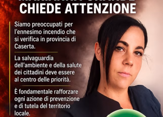 E2658ACB 6D47 4D0E 8A4F AAC5EBDD9130