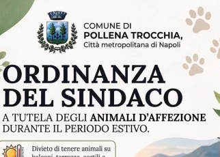 Pollena Trocchia tutela il benessere animale, firmata l'ordinanza per l'emergenza caldo 36 Ordinanza a tutela degli animalimod