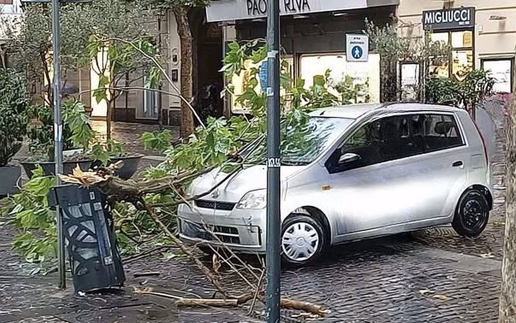 Vomero via Luca Giordano ramo caduto su unauto