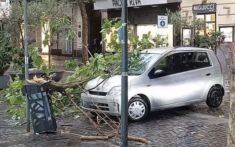 Vomero via Luca Giordano ramo caduto su unauto