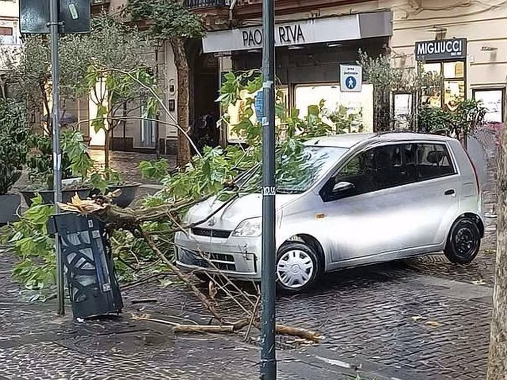Vomero via Luca Giordano ramo caduto su unauto