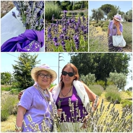 I Viaggi di Adelina - L’anima viola dell’Irpinia: un viaggio tra lavanda, memoria e rinascita a Sant’Angelo all’Esca 3 a5b78409 c00b 47e5 bbdb 56e8feed26af
