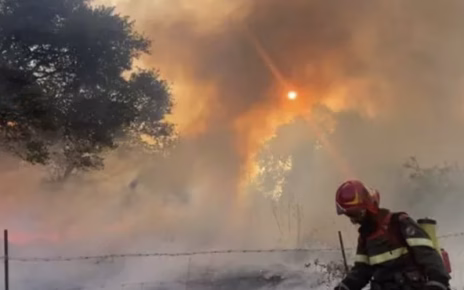 Caldo, Confeuro: "Allarme incendi, sistema Italia fragile. Più prevenzione e risorse" 4 incendio nuorese e1779536183755 800x544 1