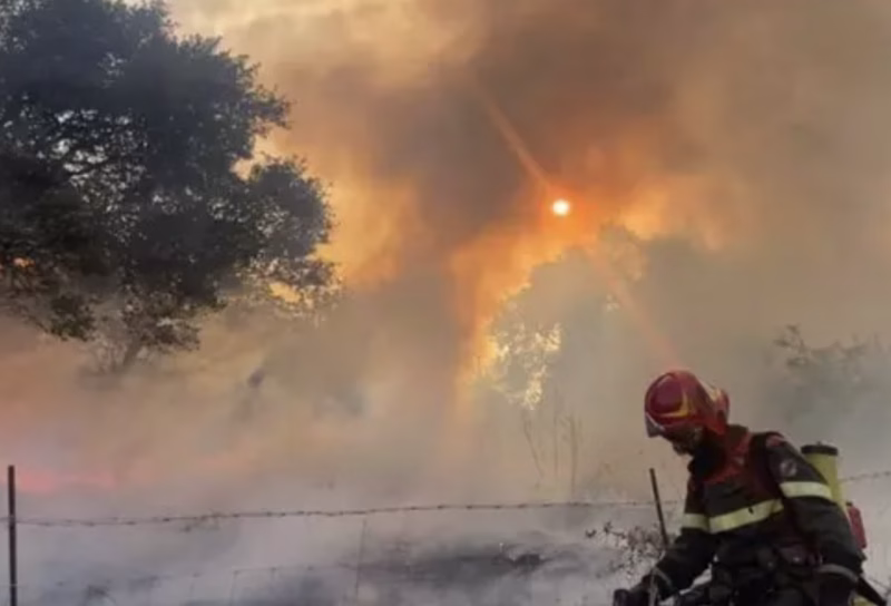 incendio nuorese e1779536183755 800x544 1