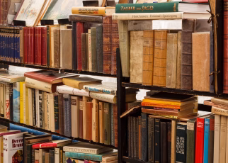 Dal romanzo alla realtà: lezioni di consapevolezza dai libri che amiamo 55 meineresterampe books 4210413 1920