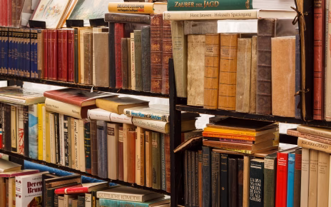 Dal romanzo alla realtà: lezioni di consapevolezza dai libri che amiamo 3 meineresterampe books 4210413 1920