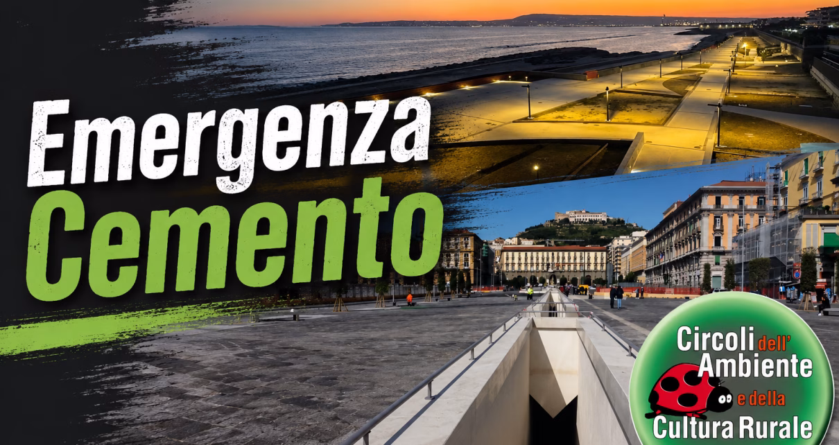 Più verde, meno cemento: la sfida della Campania per città più vivibili e resilienti 1 EMERGENZACEMENTO