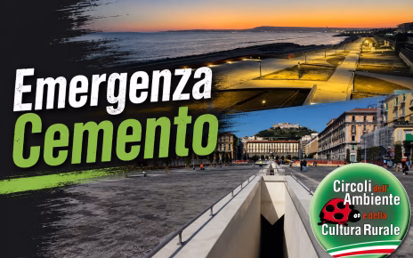 Più verde, meno cemento: la sfida della Campania per città più vivibili e resilienti 6 EMERGENZACEMENTO