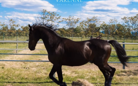 Varenne1