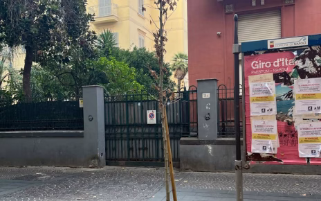 Napoli, Vomero: verde abbandonato. Giovani alberi già morti 6 Vomero via Luca Giordano uno dei giovani alberi morti