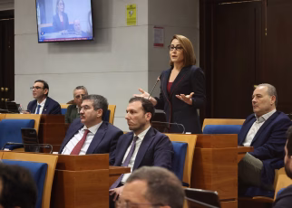 rostan consiglio 1
