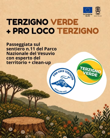 Locandina Ri Party Pro Loco Terzigno Terzigno Verde