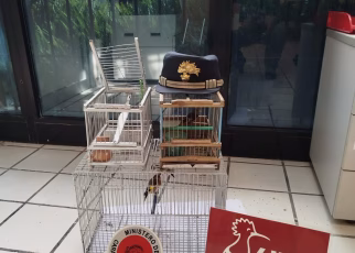 animaliprotetti